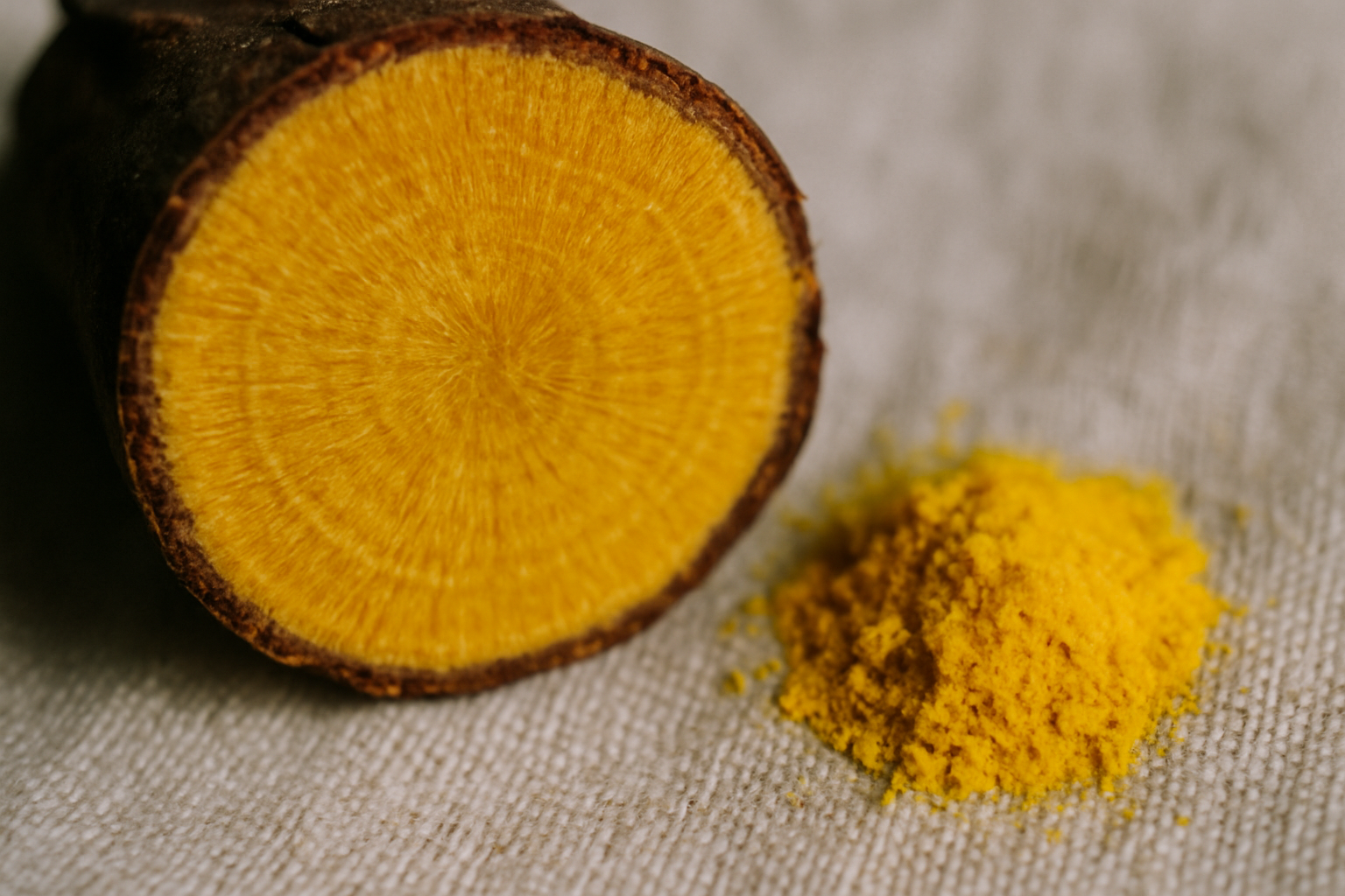 Querschnitt einer Berberitzenwurzel mit intensiv gelber Farbe neben Berberin-Kristallpulver auf Leinentuch